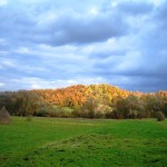 Surdesti-i-love-Maramures