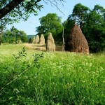 pe camp la fan in Maramures
