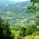 Valea Viseului